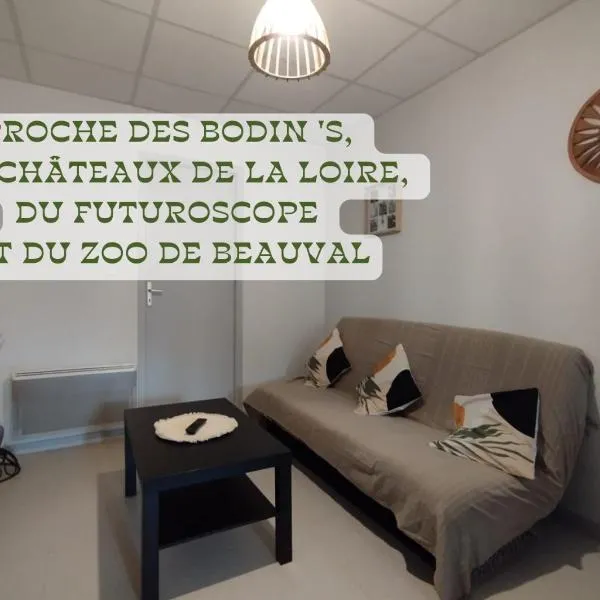 Appartement centre Descartes，位于Descartes的酒店