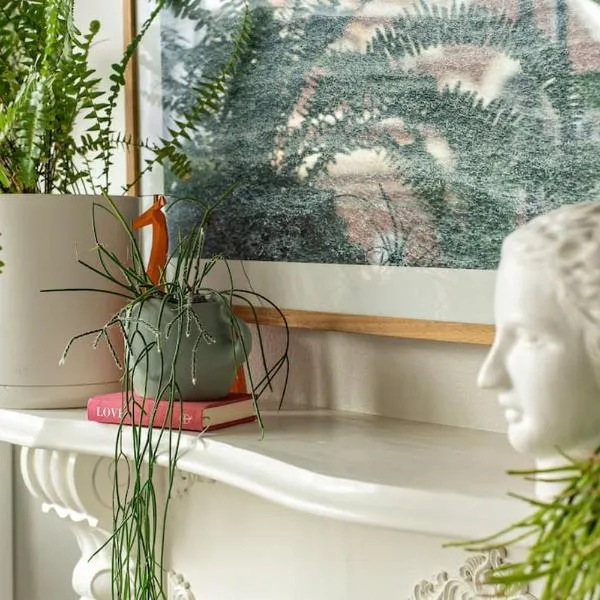 Charming Hideaway Apartment Near St Kilda，位于墨尔本的酒店