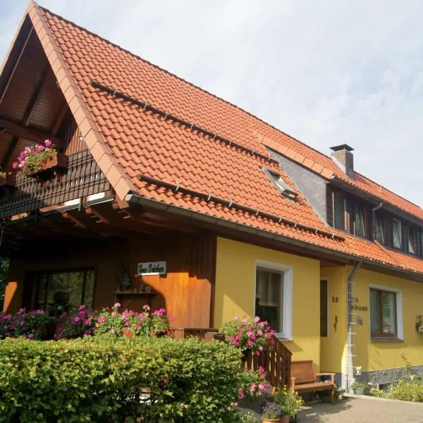 Pension Haus Brückner，位于维尔德曼的酒店