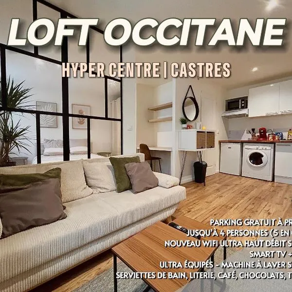 Loft Occitane Hyper Centre Castres，位于卡斯特尔的酒店