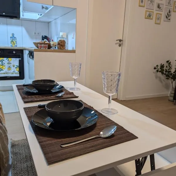 2 Zimmer Apartment mit Balkon，位于艾斯林根的酒店