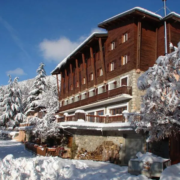 Auberge de jeunesse HI Valdeblore - Le Chalet，位于瓦尔代布洛尔的酒店