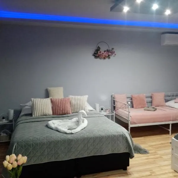 Sára Apartman Nyíregyháza，位于尼赖吉哈佐的酒店