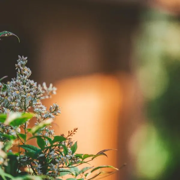 Quinta do Lameiro，位于Tarouca的酒店