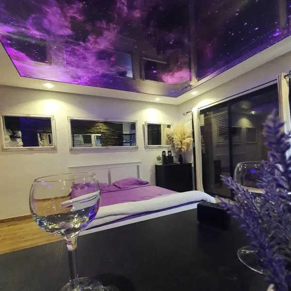 Stone Spa Apartman 2，位于Sremčica的酒店