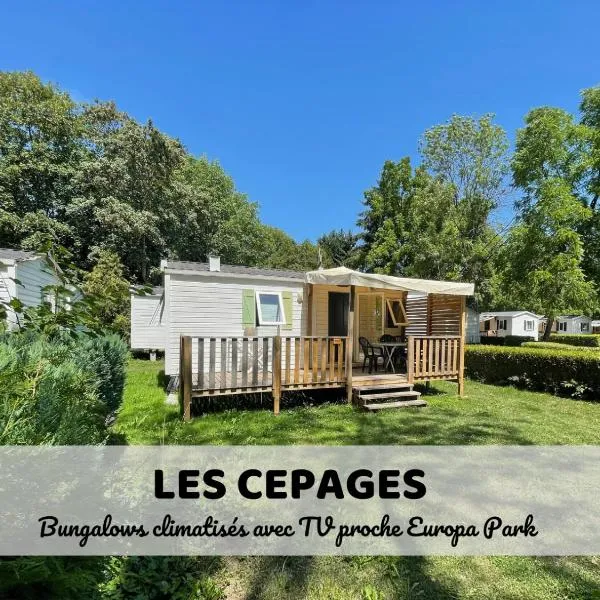 Les Cépages - 2 bungalows premium - TV - Clim，位于Rossfeld的酒店