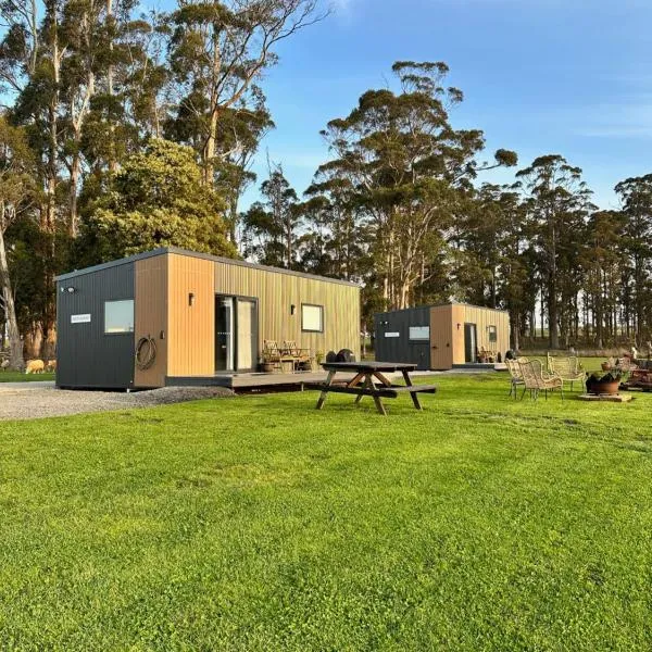 Badger's View Farmstay BLUE TONGUE Cabin，位于Railton的酒店