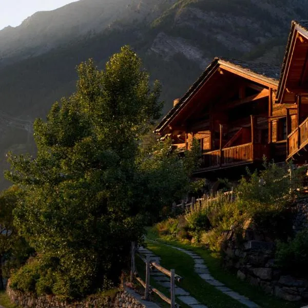 Agriturismo Plan de la Tour B&B，位于科涅的酒店
