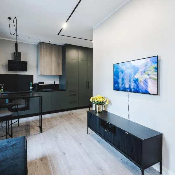 Dzirnavu Apartment，位于里加的酒店