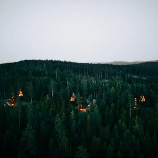 PAN Treetop Cabins，位于Åsnes的酒店