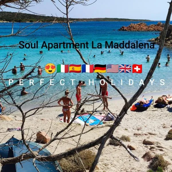 Soul Apartment La Maddalena，位于马达莱纳的酒店