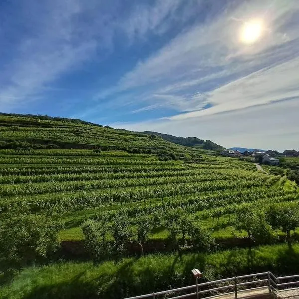 Wohnung in der Wachau，位于Weißenkirchen in der Wachau的酒店