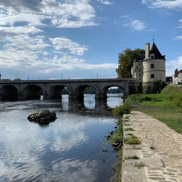 Maison de ville à Châtellerault，位于沙泰勒罗的酒店