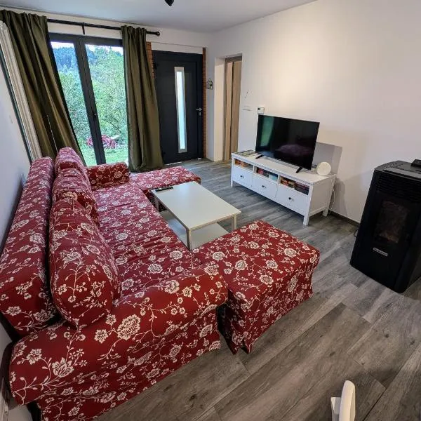 Fuzine Lake Apartments，位于弗济内的酒店