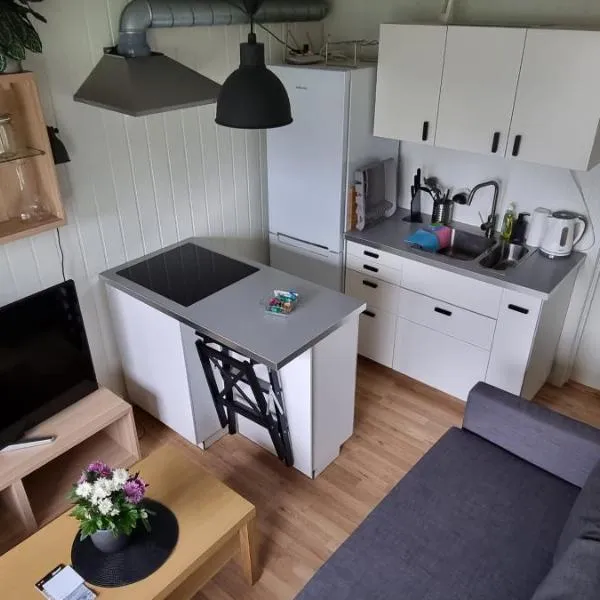 Small cosy and fully equipped apartment with the possibility to rent a car，位于特罗姆瑟的酒店