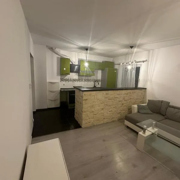 Przytulny Apartament Plewiska，位于Buk的酒店