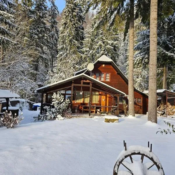 Fabian Kulcsoshaz，位于Izvoare的酒店