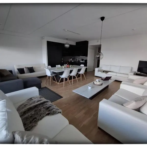 High class living in TAMPERE PENTHOUSE 84 square，位于Ylöjärvi的酒店