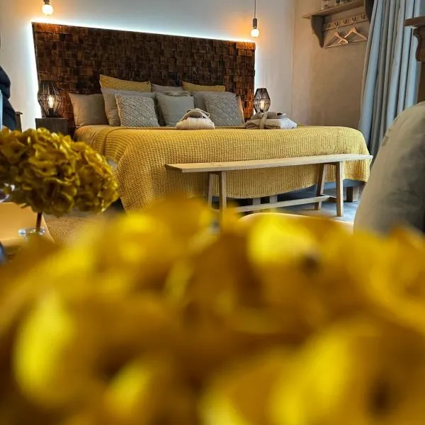 Belle An Pierre chambre d hôte & spa "Tuffeau'，位于Saint-Cyr的酒店