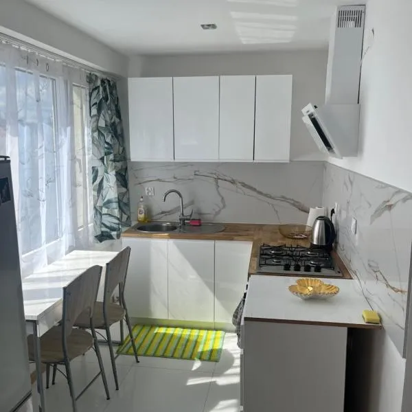Apartament Centrum Okulickiego !，位于斯塔洛瓦沃拉的酒店