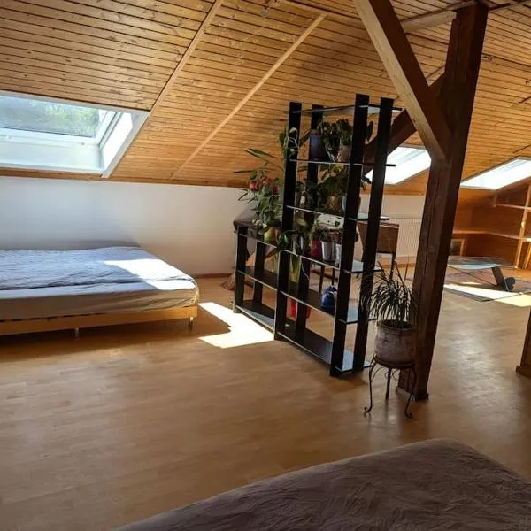 Eigene Etage im charmanten Holzhaus，位于米斯巴赫的酒店