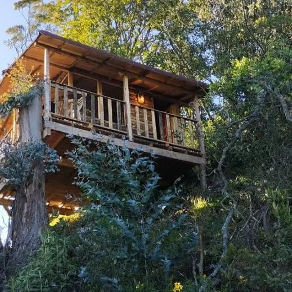 Casiopea Glamping，位于塔比奥的酒店