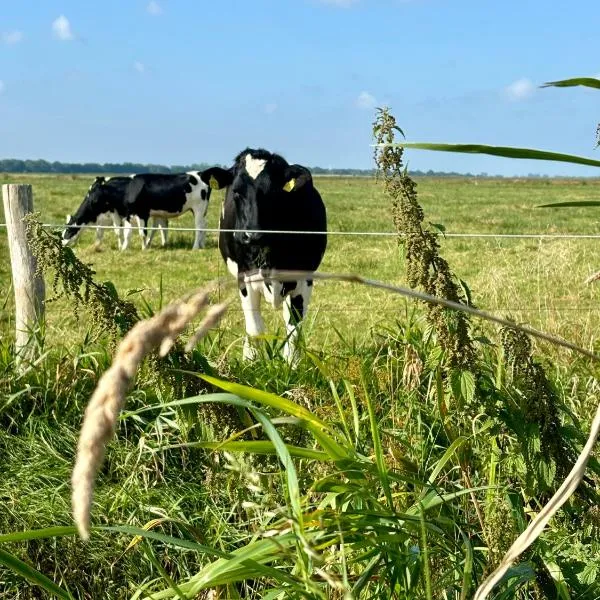 Landleeven No11，位于Meggerdorf的酒店