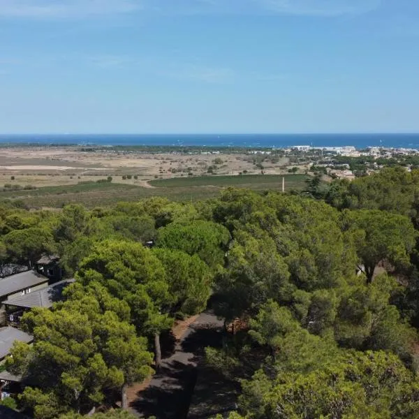 Chalet familial entre les pins，位于阿格德的酒店