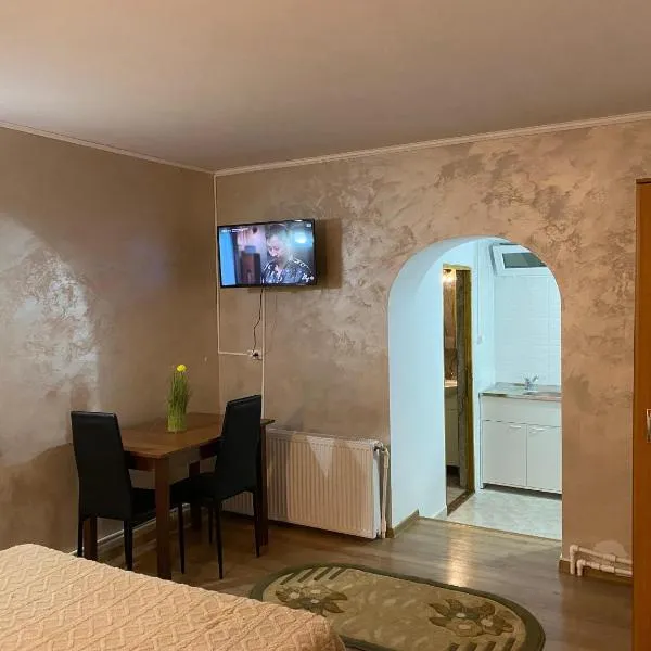 Casa Octavia，位于图尔恰的酒店