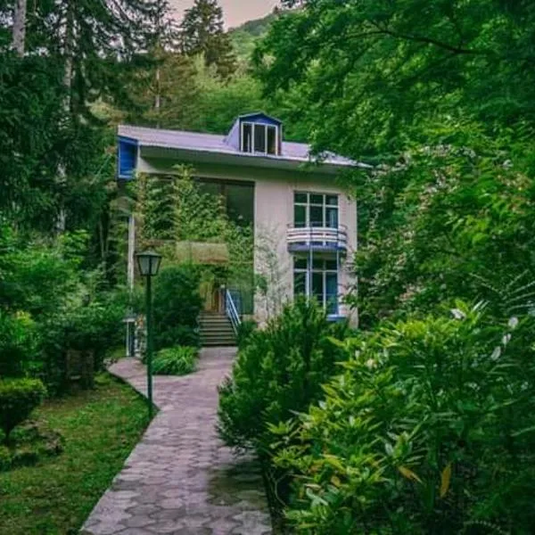 Nunisi Forest Hotel & SPA，位于Nunisi的酒店