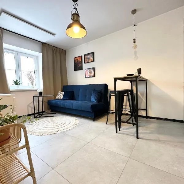 Apartament Kopalniok，位于扎布热的酒店