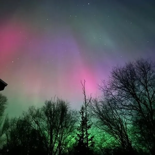 The Northern Lights Oasis，位于瓦西拉的酒店