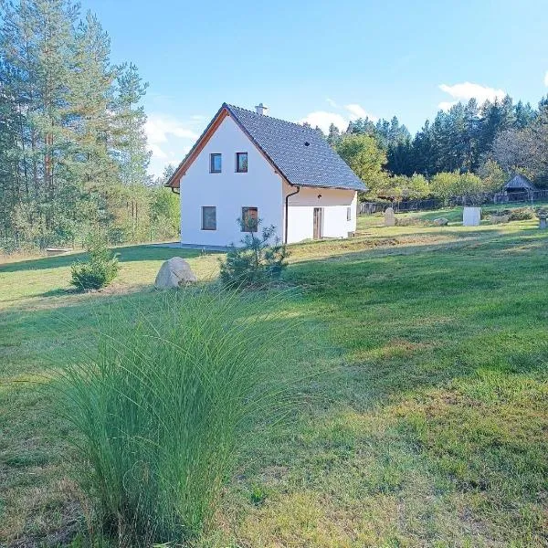 Klidná lokalita Na kraji lesa, celý dům s úschovnu kol，位于Příbraz的酒店