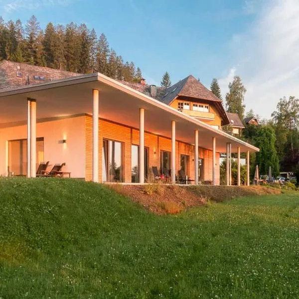 坦霍夫旅游酒店，位于费尔德伯格的酒店