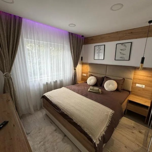 Deluxe Retreat & Business Apart，位于雅西的酒店