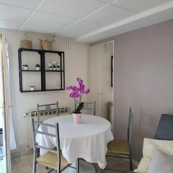 Charmant appartement 35 m2 avec terrasse et jardin，位于Domont的酒店