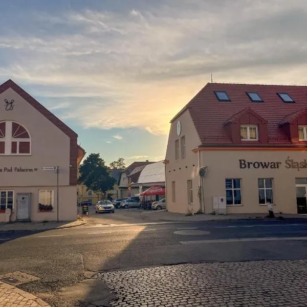 Pokoje Pod Pałacem，位于Koszęcin的酒店