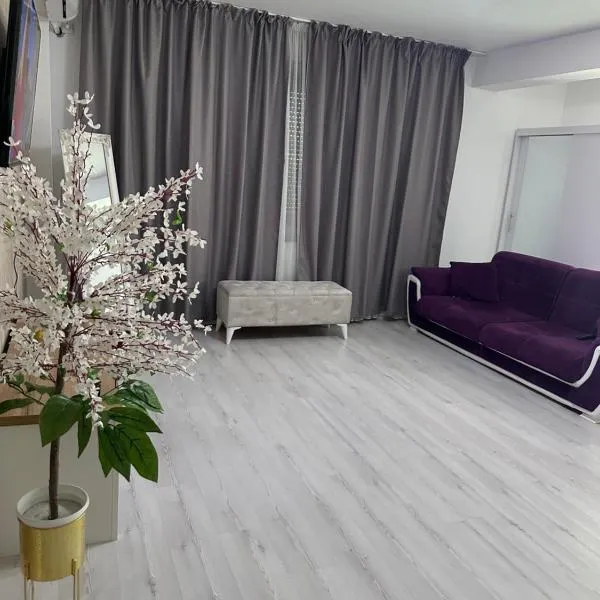 Apartament în regim，位于Pantelimon的酒店