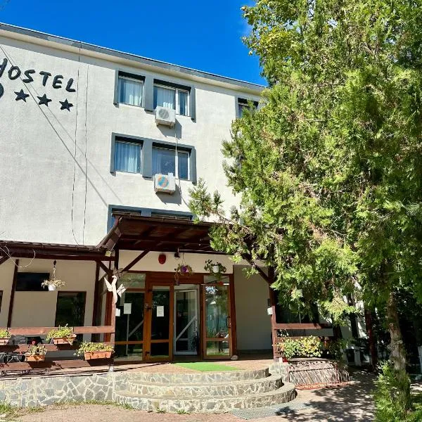 Hostel Horia，位于Plopeni的酒店