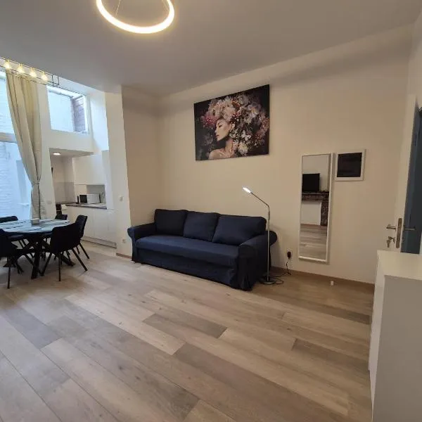 Tasson Snel apartment center of Brussels，位于布鲁塞尔的酒店