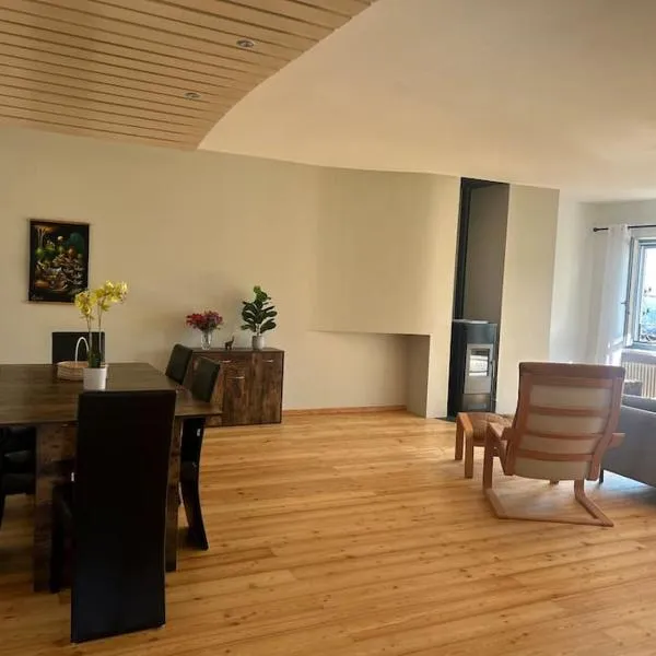 Luxury apartment Lugano，位于Dino的酒店