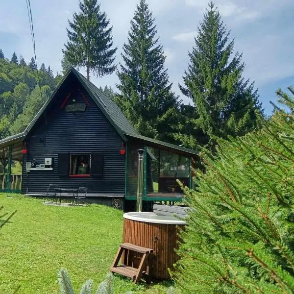 Schwarz Kabin，位于Neagra的酒店