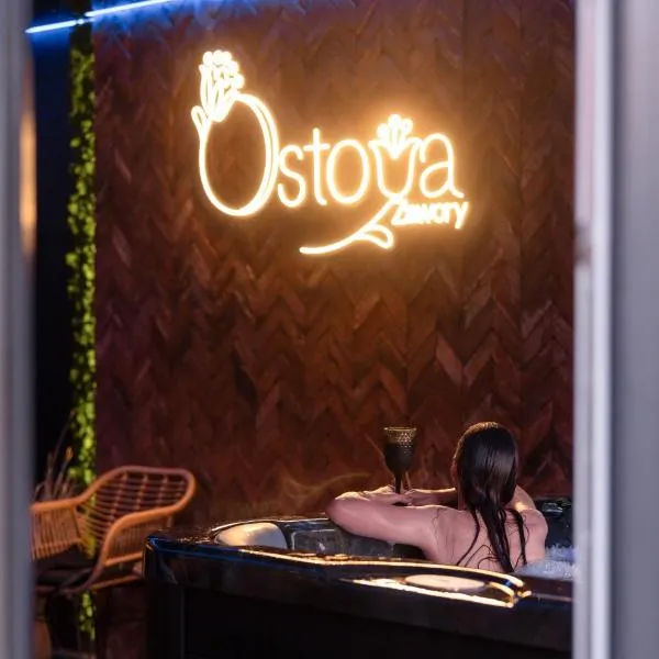 Ostoya Zawory -domki premium ,strefa relaksu, basen，位于Zawory的酒店