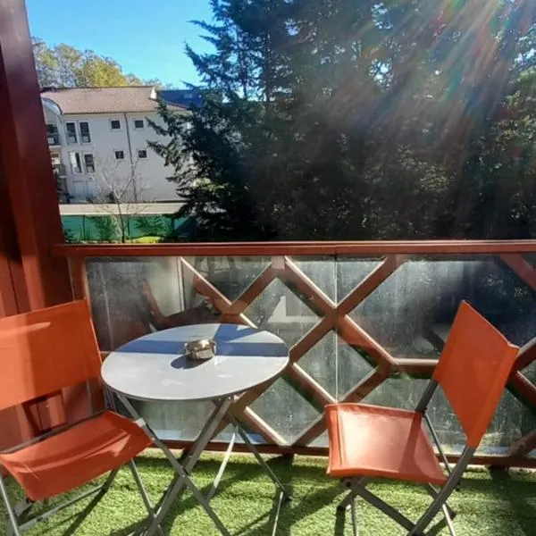 Le petit Park-studio-terrasse- piscine-WIFI FIBRE，位于Sauvagnon的酒店