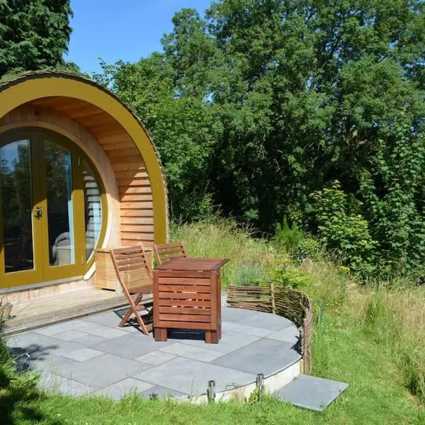 Ty Barcud Glamping Pod，位于阿伯里斯特威斯的酒店