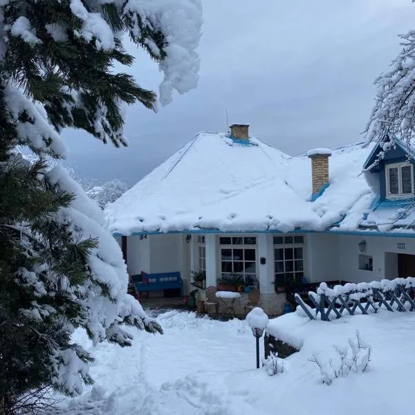 Vila Nízke Tatry，位于Horná Lehota的酒店