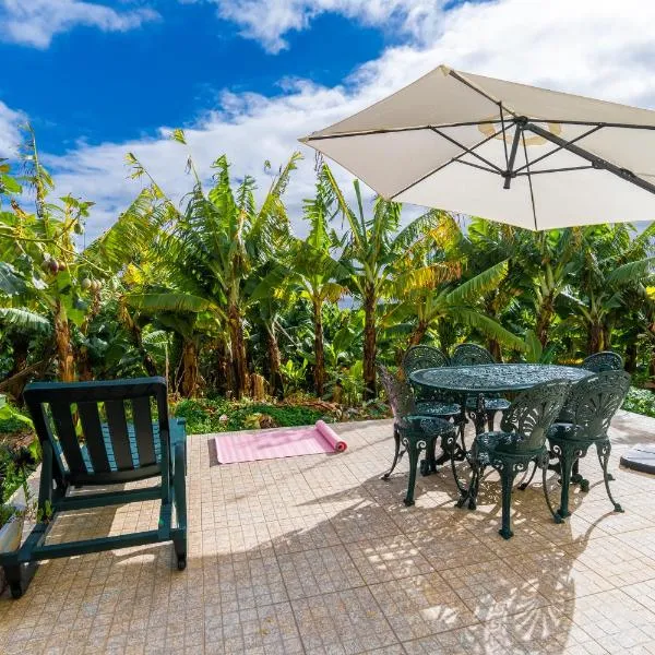 Sleep Among the Bananas! Rustic Cottage with Trails at Your Doorstep，位于蓬他达维托亚的酒店