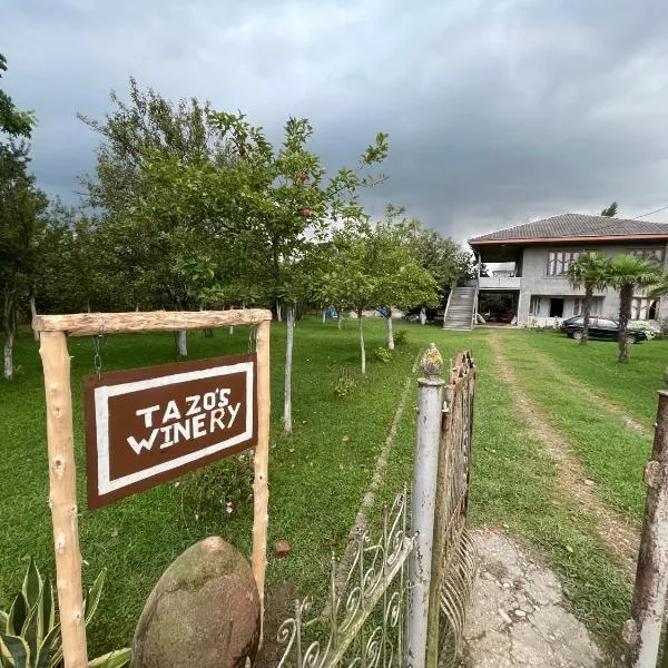 Tazos Winery guest house，位于Abasha的酒店