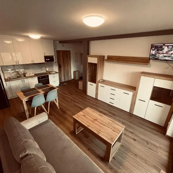 Apartament w Dolinie Sanu，位于莱斯科的酒店
