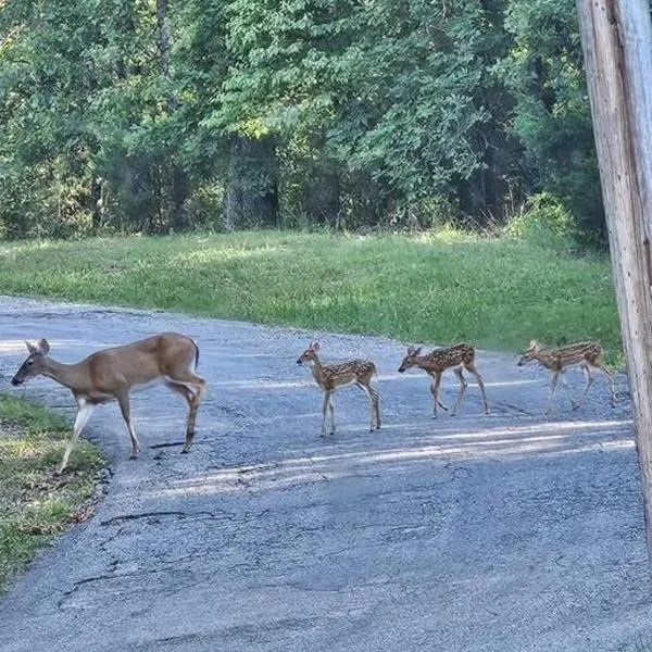 My Hideaways Serinity Hill，位于Hardy的酒店